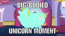Size: 1000x563 | Tagged: safe, edit, edited screencap, screencap, character:whoa nelly, species:pony, episode:canterlot boutique, g4, my little pony: friendship is magic, big lipped alligator moment, caption, fat, image macro, meme, nostalgia critic, text