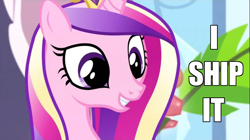 Size: 1100x618 | Tagged: safe, edit, edited screencap, screencap, character:princess cadance, species:alicorn, species:pony, episode:equestria games, g4, my little pony: friendship is magic, bust, caddy ships it, cute, cutedance, female, grin, i ship it, mare, meme, portrait, princess of love, princess of shipping, shipper on deck, smiling, solo