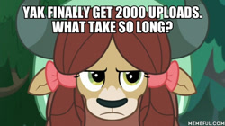 Size: 600x337 | Tagged: safe, edit, edited screencap, screencap, character:yona, episode:non-compete clause, g4, my little pony: friendship is magic, caption, image macro, text