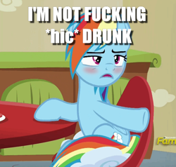 Size: 562x535 | Tagged: safe, edit, edited screencap, screencap, character:rainbow dash, species:pony, episode:flutter brutter, g4, my little pony: friendship is magic, blatant lies, caption, cropped, dashaholic, drunk, drunker dash, female, image macro, solo, text, vulgar