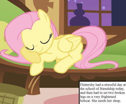 Size: 810x675 | Tagged: safe, edit, edited screencap, screencap, character:fluttershy, episode:stare master, g4, my little pony: friendship is magic, cropped, cute, fluttershy's cottage, inset, shyabetes, sleeping, text
