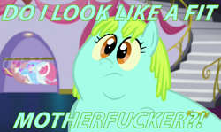 Size: 3832x2290 | Tagged: safe, edit, edited screencap, screencap, character:whoa nelly, episode:canterlot boutique, g4, my little pony: friendship is magic, caption, fat, frown, image macro, incidental pony, obese, solo, somecallmejohnny, text, vulgar