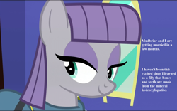 Size: 1728x1080 | Tagged: safe, edit, edited screencap, screencap, character:maud pie, character:mudbriar, species:pony, ship:maudbriar, episode:maud pie, episode:the maud couple, g4, my little pony: friendship is magic, cropped, dialogue, female, implied mudbriar, implied wedding, maudabetes, shipping, smiling, straight, when she smiles