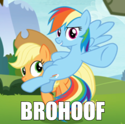 Size: 600x597 | Tagged: safe, edit, edited screencap, screencap, character:applejack, character:rainbow dash, species:earth pony, species:pegasus, species:pony, episode:non-compete clause, g4, my little pony: friendship is magic, caption, cropped, female, flying, hoofbump, image macro, impact font, mare, meme, pointing, text