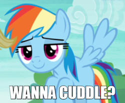 Size: 600x494 | Tagged: safe, edit, edited screencap, screencap, character:rainbow dash, species:pegasus, species:pony, episode:non-compete clause, g4, my little pony: friendship is magic, bronybait, caption, cropped, cuddling, female, flying, image macro, imgflip, impact font, lidded eyes, mare, meme, smiling, text