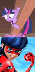 Size: 501x1039 | Tagged: safe, edit, screencap, character:twilight sparkle, character:twilight sparkle (alicorn), species:alicorn, species:pony, episode:starlight the hypnotist, spoiler:interseason shorts, 1000 years in photoshop, body horror, ladybug, miraculous ladybug, trypophobia, twilight hates ladybugs, twilight is afraid of miraculous ladybug