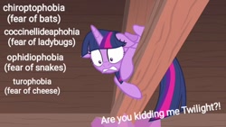 Size: 1280x720 | Tagged: safe, edit, edited screencap, screencap, character:twilight sparkle, character:twilight sparkle (alicorn), species:alicorn, species:pony, episode:starlight the hypnotist, spoiler:interseason shorts, chiroptophobia, coccinellidaephobia, exclamation point, fear, female, floppy ears, interrobang, ophidiophobia, princess of phobias, question mark, solo, they're just so cheesy, turophobia, twilight hates ladybugs