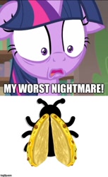 Size: 500x817 | Tagged: safe, edit, edited screencap, screencap, character:twilight sparkle, character:twilight sparkle (alicorn), species:alicorn, species:pony, episode:starlight the hypnotist, spoiler:interseason shorts, caption, comic, fear, female, floppy ears, food, image macro, imgflip, impact font, ladybug, meme, pure unfiltered evil, quesadilla, solo, text, they're just so cheesy, twilight hates ladybugs, what has science done