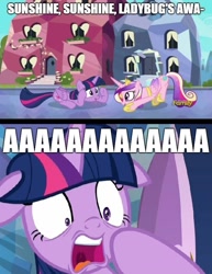 Size: 619x802 | Tagged: safe, edit, edited screencap, screencap, character:princess cadance, character:twilight sparkle, character:twilight sparkle (alicorn), species:alicorn, species:pony, episode:molt down, episode:starlight the hypnotist, episode:the times they are a changeling, g4, my little pony: friendship is magic, spoiler:interseason shorts, aaaaaaaaaa, caption, coccinellidaephobia, continuity error, female, floppy ears, image macro, impact font, ladybug, mare, meme, scared, shocked, sunshine sunshine, text, twilight hates ladybugs