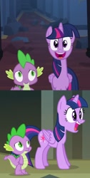 Size: 796x1574 | Tagged: safe, edit, edited screencap, screencap, character:spike, character:twilight sparkle, character:twilight sparkle (alicorn), species:alicorn, species:dragon, species:pony, episode:castle mane-ia, g4, my little pony: friendship is magic, adorkable, angle, comparison, cute, dork, duo, excited, faec, female, gasp, happy, male, mare, open mouth