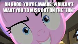 Size: 635x358 | Tagged: safe, edit, edited screencap, screencap, character:diamond tiara, species:pony, episode:ponyville confidential, g4, my little pony: friendship is magic, caption, close-up, female, image macro, looking at you, offscreen character, pov, solo, text