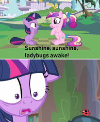 Size: 1064x1292 | Tagged: safe, edit, edited screencap, screencap, character:princess cadance, character:twilight sparkle, character:twilight sparkle (alicorn), character:twilight sparkle (unicorn), species:alicorn, species:pony, species:unicorn, episode:a canterlot wedding, episode:starlight the hypnotist, g4, my little pony: friendship is magic, spoiler:interseason shorts, coccinellidaephobia, comic, female, filly, filly twilight sparkle, hilarious in hindsight, ladybug, love hate, screencap comic, shrunken pupils, sunshine sunshine, teen princess cadance, twilight hates ladybugs, younger