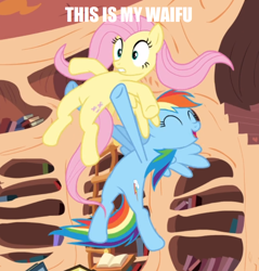 Size: 728x760 | Tagged: safe, edit, edited screencap, screencap, character:fluttershy, character:rainbow dash, species:pegasus, species:pony, ship:flutterdash, episode:magic duel, g4, my little pony: friendship is magic, book, caption, cropped, duo, eyes closed, female, flying, golden oaks library, holding a pony, image macro, impact font, ladder, lesbian, shipping, smiling, text, waifu