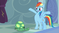 Size: 1280x720 | Tagged: safe, edit, edited screencap, screencap, character:rainbow dash, character:tank, species:pony, episode:tanks for the memories, g4, my little pony: friendship is magic, ponytaur, standing, taur, wat, what has science done