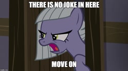 Size: 888x499 | Tagged: safe, edit, edited screencap, screencap, character:limestone pie, species:pony, episode:hearthbreakers, g4, my little pony: friendship is magic, caption, female, image macro, impact font, limestone is not amused, mare, reaction image, text