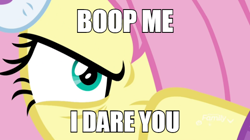 Size: 600x337 | Tagged: safe, edit, edited screencap, screencap, character:fluttershy, species:pegasus, species:pony, episode:best gift ever, g4, my little pony: friendship is magic, angry, anti-bronybait, badass, bronybait, caption, close-up, dare, earmuffs, evil eye, female, flutterbadass, hair over one eye, image macro, imminent boop, impact font, mare, narrowed eyes, solo, text, this will end in pain