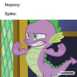 Size: 720x720 | Tagged: safe, edit, edited screencap, screencap, character:spike, species:dragon, episode:the crystalling, g4, my little pony: friendship is magic, caption, cropped, flexing, image macro, kapwing, male, meme, muscles, nobody meme, solo, text