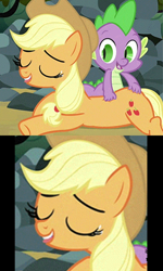 Size: 348x580 | Tagged: safe, edit, edited screencap, screencap, character:applejack, character:spike, species:dragon, species:earth pony, species:pony, ship:applespike, episode:spike at your service, g4, my little pony: friendship is magic, butt touch, comic, female, hand on butt, male, mare, massage, meme, out of context, petting, screencap comic, shipping, straight, yaranaika