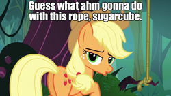 Size: 1920x1080 | Tagged: safe, edit, edited screencap, screencap, character:applejack, species:earth pony, species:pony, butt, caption, female, looking at you, mare, out of context, plot, rope, text, tree