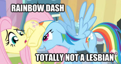 Size: 625x331 | Tagged: safe, edit, edited screencap, screencap, character:fluttershy, character:rainbow dash, species:pegasus, species:pony, ship:flutterdash, episode:the crystal empire, g4, my little pony: friendship is magic, caption, denial, faceful of ass, female, flutterbutt, image macro, lesbian, mare, meme, out of context, plot, shipping fuel, spread wings, text, wingboner, wings