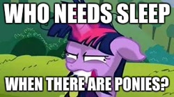 Size: 320x178 | Tagged: safe, edit, edited screencap, screencap, character:twilight sparkle, episode:lesson zero, g4, my little pony: friendship is magic, addiction, brony, caption, crazy face, cropped, faec, fangirl, image macro, in-universe pegasister, obsession, sleep is for the weak, text, twilight snapple