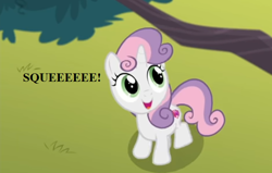 Size: 704x448 | Tagged: safe, edit, edited screencap, screencap, character:sweetie belle, species:pony, episode:surf and/or turf, g4, my little pony: friendship is magic, cropped, cute, diasweetes, female, harmonizing heights, reaction image, solo, squeaky belle, squee, tree, tree branch