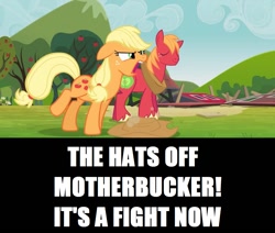 Size: 1067x906 | Tagged: safe, edit, edited screencap, screencap, character:applejack, character:big mcintosh, species:earth pony, species:pony, episode:too many pinkie pies, g4, my little pony: friendship is magic, angry, duo, eyes closed, female, floppy ears, hat off, male, mare, stallion, sweet apple acres, vulgar
