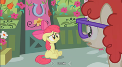 Size: 854x471 | Tagged: safe, edit, edited screencap, screencap, character:apple bloom, character:twist, species:earth pony, species:pony, episode:call of the cutie, g4, my little pony: friendship is magic, caption, duo, duo female, female, filly, homie, sitting, youtube caption