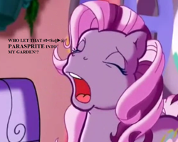 Size: 1120x896 | Tagged: safe, edit, edited screencap, screencap, character:wysteria, species:pony, episode:the princess promenade, g3, angry, censored vulgarity, cropped, dialogue, grawlixes, vulgar, window