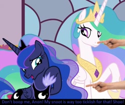 Size: 763x637 | Tagged: safe, edit, edited screencap, screencap, character:princess celestia, character:princess luna, species:pony, episode:shadow play, g4, my little pony: friendship is magic, boop, boop edit, bronybait, caption, cropped, crown, cute, disembodied hand, ethereal mane, hand, hoof shoes, implied anon, jewelry, meta, necklace, regalia, royal sisters, season 7, sillestia, silluna, silly, silly pony