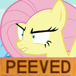 Size: 456x452 | Tagged: safe, edit, edited screencap, screencap, character:fluttershy, species:pegasus, species:pony, /mlp/, episode:flutter brutter, g4, my little pony: friendship is magic, angry, cropped, female, lip bite, mare, meme, peeved, triggered