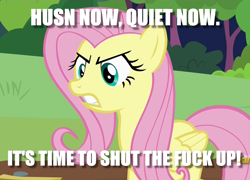 Size: 1050x755 | Tagged: safe, edit, edited screencap, screencap, character:fluttershy, species:pegasus, species:pony, episode:fluttershy leans in, g4, my little pony: friendship is magic, angry, caption, female, image macro, mare, solo, stfu, text, vulgar