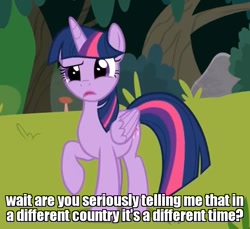 Size: 944x864 | Tagged: safe, edit, edited screencap, screencap, character:twilight sparkle, character:twilight sparkle (alicorn), species:alicorn, species:pony, episode:non-compete clause, g4, my little pony: friendship is magic, caption, confused, cropped, female, forest, horn, image macro, mare, raised hoof, solo, text, time zone, wings