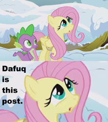 Size: 1360x1536 | Tagged: safe, edit, edited screencap, screencap, character:fluttershy, character:spike, species:pony, episode:winter wrap up, g4, my little pony: friendship is magic, caption, dafuq, faec, female, image macro, looking up, mare, snow, text, vulgar, winter wrap up vest