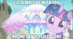 Size: 1654x893 | Tagged: safe, edit, edited screencap, screencap, character:tree of harmony, character:treelight sparkle, character:twilight sparkle, episode:uprooted, g4, my little pony: friendship is magic, spoilers for another series, caption, crossover, image macro, meme, smiling, star wars, star wars: the rise of skywalker, text, tree of harmony, treehouse of harmony, treelight sparkle