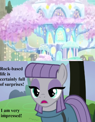 Size: 896x1152 | Tagged: safe, edit, edited screencap, screencap, character:maud pie, character:tree of harmony, species:earth pony, species:pony, episode:the maud couple, episode:uprooted, g4, my little pony: friendship is magic, cropped, dialogue, female, mare, rock, surprised, that pony sure does love rocks, tree of harmony, treehouse of harmony