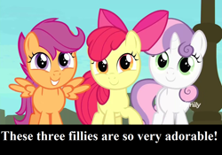 Size: 1280x896 | Tagged: safe, edit, edited screencap, screencap, character:apple bloom, character:scootaloo, character:sweetie belle, species:earth pony, species:pegasus, species:pony, species:unicorn, episode:surf and/or turf, g4, my little pony: friendship is magic, adorabloom, bow, captain obvious, cute, cutealoo, cutie mark crusaders, diasweetes, discovery family logo, female, filly, foal, mane bow, spread wings, text, trio, truth, wings