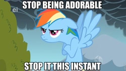 Size: 830x467 | Tagged: safe, edit, screencap, character:rainbow dash, caption, crossed hooves, cute, female, floppy ears, flying, frown, glare, image macro, solo, spread wings, unamused, wings