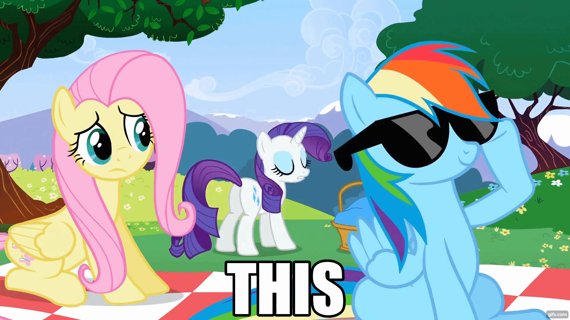 Size: 1920x1080 | Tagged: safe, edit, edited screencap, screencap, character:fluttershy, character:rainbow dash, character:rarity, species:pony, episode:lesson zero, g4, my little pony: friendship is magic, animated, caption, close-up, gif, gifs.com, image macro, marshmelodrama, meme, picnic, season 2, shocked, sunglasses, text, the worst possible thing, zoom