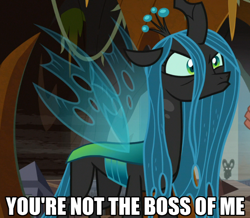 Size: 704x615 | Tagged: safe, edit, edited screencap, screencap, character:grogar, character:queen chrysalis, species:changeling, species:pony, episode:the beginning of the end, g4, my little pony: friendship is magic, baby talk, brat, burn, caption, changeling queen, cropped, cute, cutealis, dialogue, dork, dorkalis, faec, female, floppy ears, frown, image macro, immature, intimidating, looking at you, looking up, madorable, mare, menacing, pouting, queen chrysalis is not amused, reaction image, savage, silly, silly pony, solo focus, spoiled, text, unamused, whining, your argument is invalid