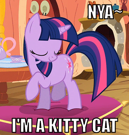 Size: 433x454 | Tagged: safe, edit, edited screencap, screencap, character:twilight sparkle, character:twilight sparkle (unicorn), species:pony, species:unicorn, episode:spike at your service, g4, my little pony: friendship is magic, animated, behaving like a cat, caption, cat, cup, cute, female, fireplace, gif, image macro, impact font, mare, meme, open mouth, raised hoof, raised leg, smiling, solo, talking, teacup, text, twiabetes, twilight cat