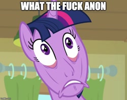 Size: 632x500 | Tagged: safe, edit, edited screencap, screencap, character:twilight sparkle, character:twilight sparkle (alicorn), species:alicorn, species:pony, episode:the point of no return, g4, my little pony: friendship is magic, cursed image, disgusted, exploitable meme, faec, female, meme, memegenerator, solo, wat, wtf