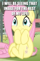 Size: 474x709 | Tagged: safe, edit, edited screencap, screencap, character:fluttershy, species:pegasus, species:pony, episode:filli vanilli, g4, my little pony: friendship is magic, cannot unsee, caption, cropped, cute, female, i've seen some shit, image macro, mare, reaction image, scared, scarred for life, shyabetes, solo, text, traumatized, what has been seen