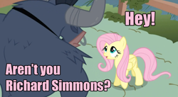 Size: 852x467 | Tagged: safe, edit, edited screencap, screencap, character:fluttershy, character:iron will, species:minotaur, species:pegasus, species:pony, episode:putting your hoof down, g4, my little pony: friendship is magic, dialogue, duo, duo male and female, family guy, female, male, mare, necktie, nose piercing, nose ring, piercing, richard simmons