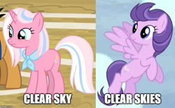 Size: 751x466 | Tagged: safe, edit, edited screencap, screencap, character:clear skies, character:clear sky, species:pegasus, species:pony, species:unicorn, episode:common ground, episode:tanks for the memories, g4, my little pony: friendship is magic, bandana, caption, comparison, cropped, female, flying, image macro, know the difference, mare, neckerchief, solo, solo focus, text