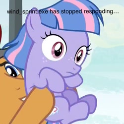 Size: 866x866 | Tagged: safe, edit, edited screencap, screencap, character:quibble pants, character:wind sprint, species:earth pony, species:pegasus, species:pony, episode:common ground, g4, my little pony: friendship is magic, caption, cropped, female, filly, image macro, male, stallion, text