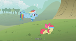 Size: 853x468 | Tagged: safe, edit, edited screencap, screencap, character:apple bloom, character:rainbow dash, species:earth pony, species:pegasus, species:pony, episode:call of the cutie, g4, my little pony: friendship is magic, alternate hairstyle, caption, duo, duo female, female, filly, headband, mare, push-ups, youtube caption