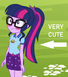 Size: 676x758 | Tagged: safe, edit, edited screencap, screencap, character:twilight sparkle, character:twilight sparkle (scitwi), species:eqg human, equestria girls:legend of everfree, g4, my little pony: equestria girls, my little pony:equestria girls, adorkable, arrow, blushing, captain obvious, caption, cropped, cute, dork, female, image macro, solo, text, truth, twiabetes