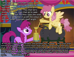 Size: 1197x918 | Tagged: safe, edit, edited screencap, screencap, character:berry punch, character:berryshine, character:dizzy twister, character:orange swirl, species:earth pony, species:pegasus, species:pony, background pony, bible verse, cider, drunk, duo, female, flying, grin, hoof hold, hooves, ladle, mare, mug, religion, smiling, solo, spread wings, tankard, text, wall of text, wings