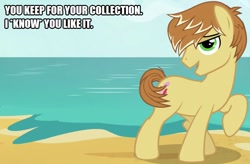 Size: 761x500 | Tagged: safe, edit, edited screencap, screencap, character:feather bangs, species:pony, episode:hard to say anything, g4, my little pony: friendship is magic, beach, caption, image macro, karate kid, male, solo, text, the karate kid, the karate kid part 2, the karate kid part ii